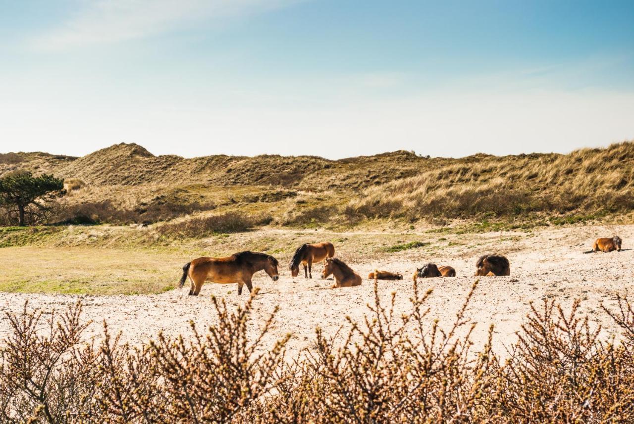 Vila De Bollenschuur Egmond aan Zee Exteriér fotografie